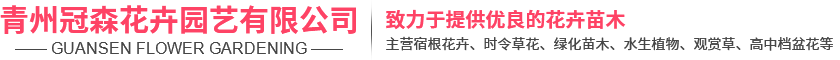 山東金盾節(jié)能環(huán)保設(shè)備有限公司